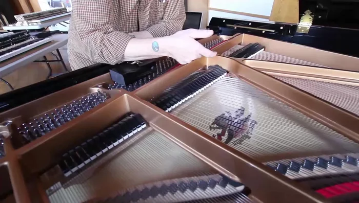 If the sound stops on all notes at the same time, your damper pickup is regulated properly.