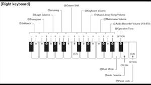 Privia PX-770 Tutorial: Mastering Metronome, Brilliance, and Transpose