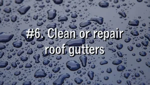 Banish Mold: A Comprehensive Home Moisture Control Guide