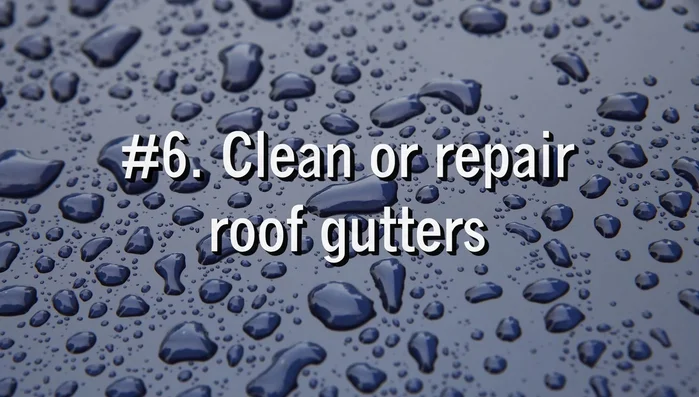 Clean or Repair Roof Gutters