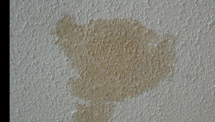 Clean or Repair Roof Gutters