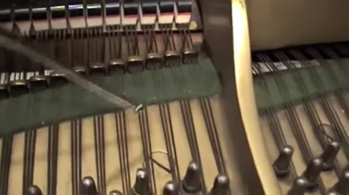 Check for rust or signs of pen dope on the strings and tuning pins.