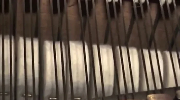 Check the case, pedals, and keys for proper functionality.