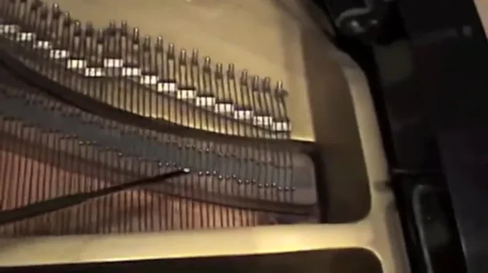 Inspect the soundboard and plate for cracks or damage.