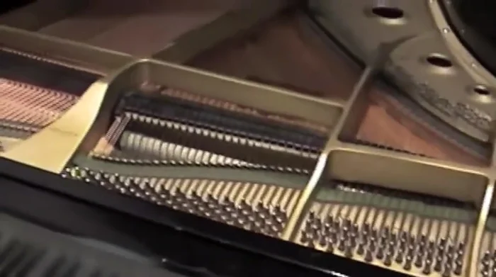 Check the case, pedals, and keys for proper functionality.