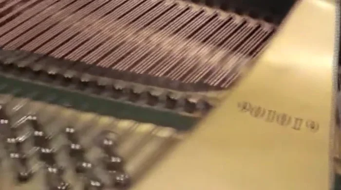 Check for rust or signs of pen dope on the strings and tuning pins.