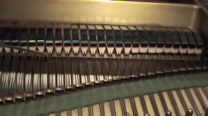 Check the case, pedals, and keys for proper functionality.