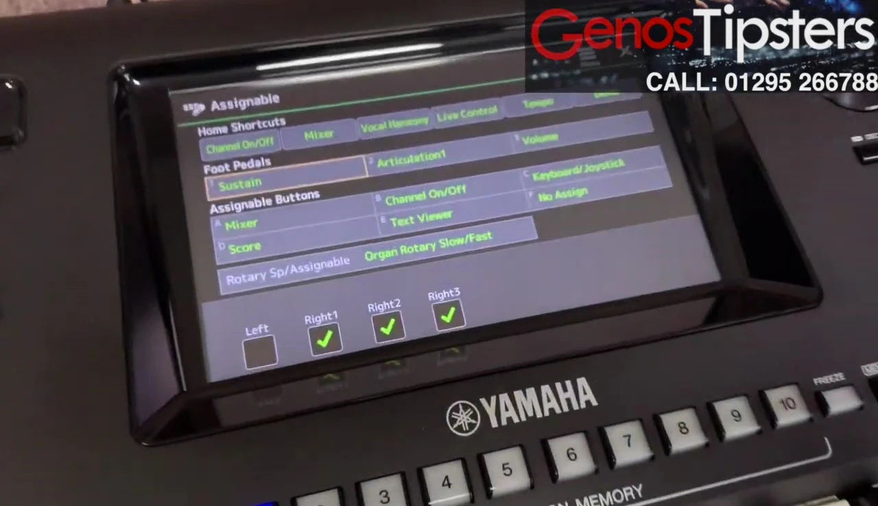 Screenshot displaying the Genos' screen in the pedal settings menu