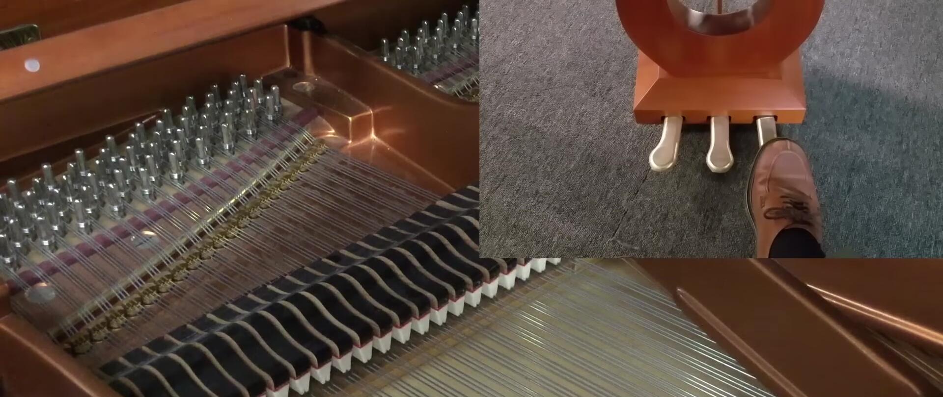 Visual representation of the dampers lifting when the sustain pedal is pressed.