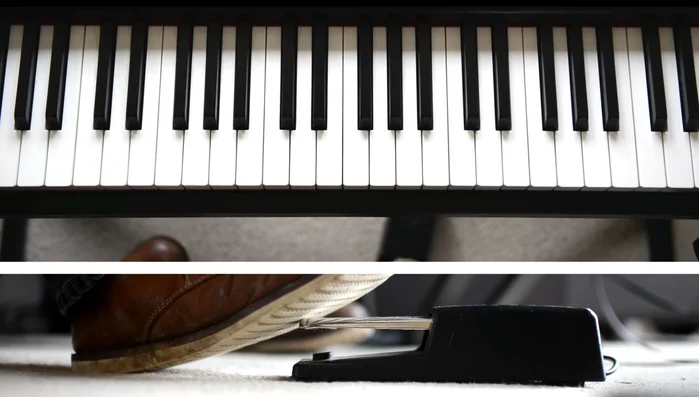 Understand its function: It prevents notes from being dampened, allowing them to ring out after the key is released.