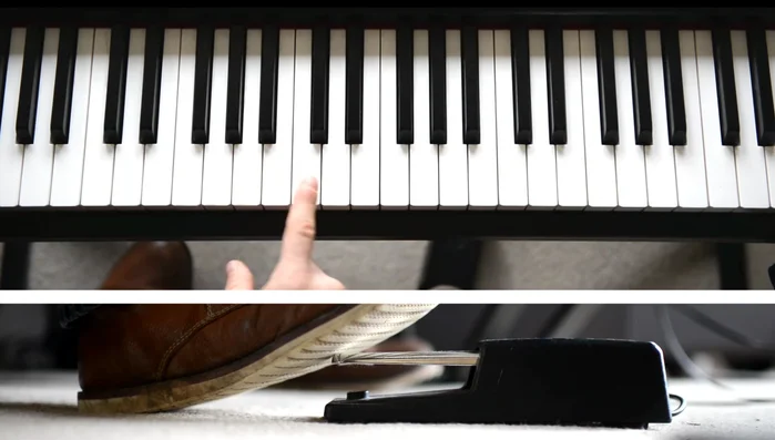 Basic usage: Press a note, hold the sustain pedal, release the note; the note continues to sound.