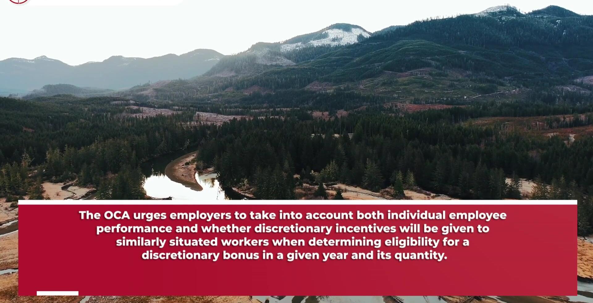 Considerations for fair and reasonable bonus allocation