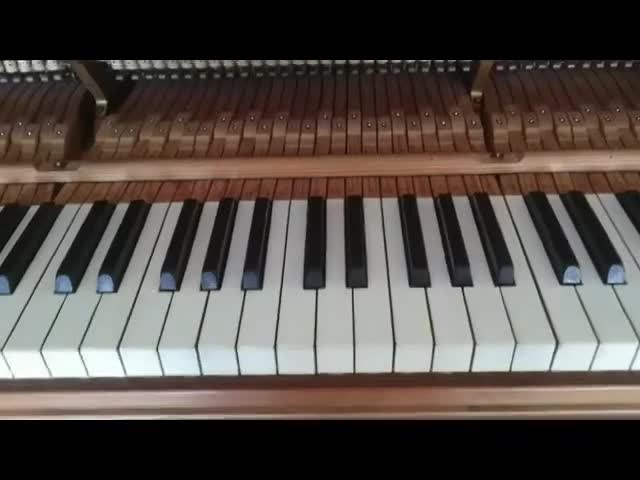 Close-up of the vintage Bechstein piano being tuned.