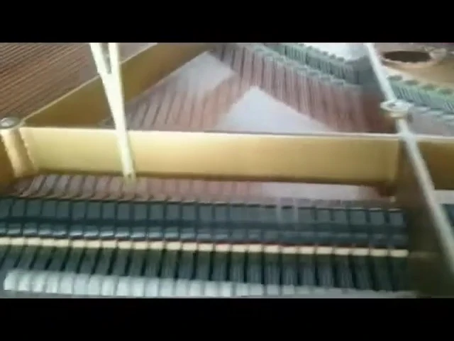 Concluding shot of the tuned piano.