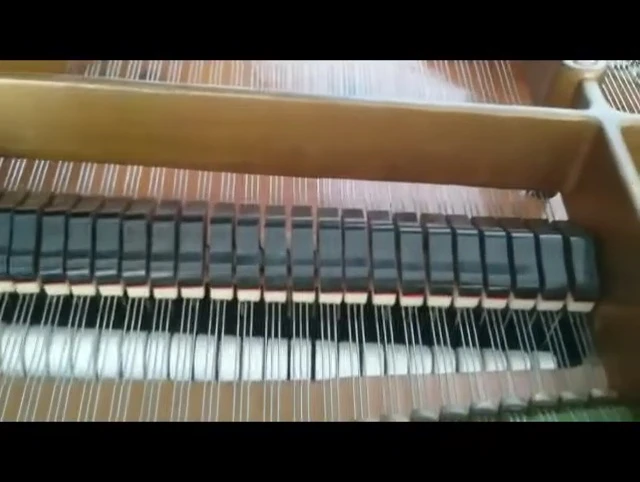 Detail of the area where it is difficult to place tuning wedges.