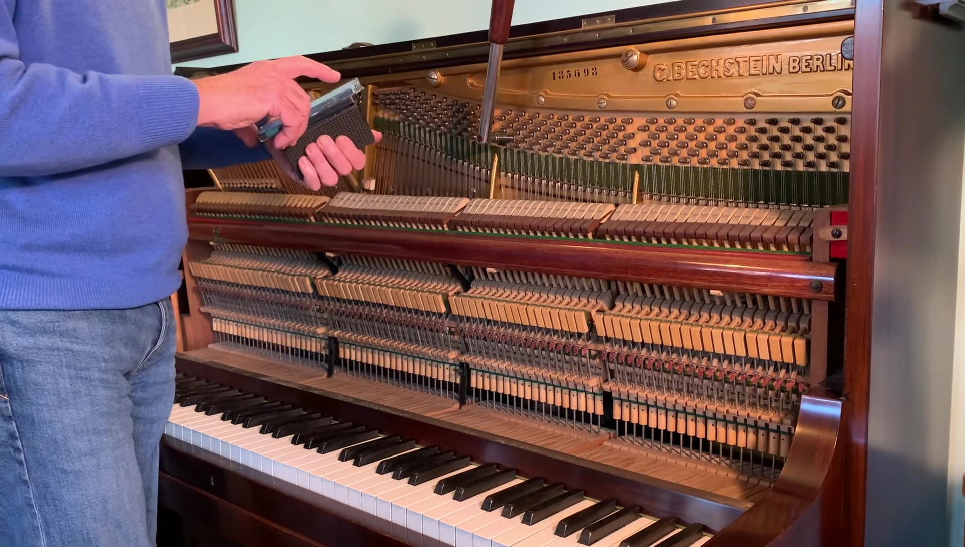 Pianoscope screen showing pitch raise/lower options