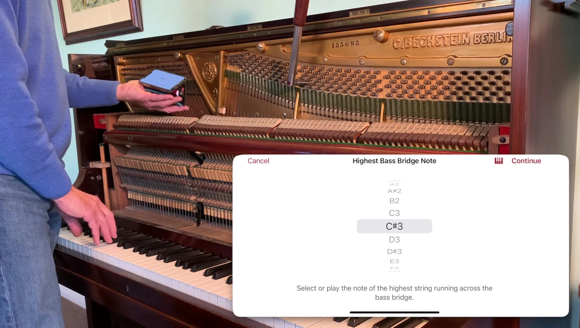 Pianoscope interface for adjusting bridge, round string, and treble strut notes