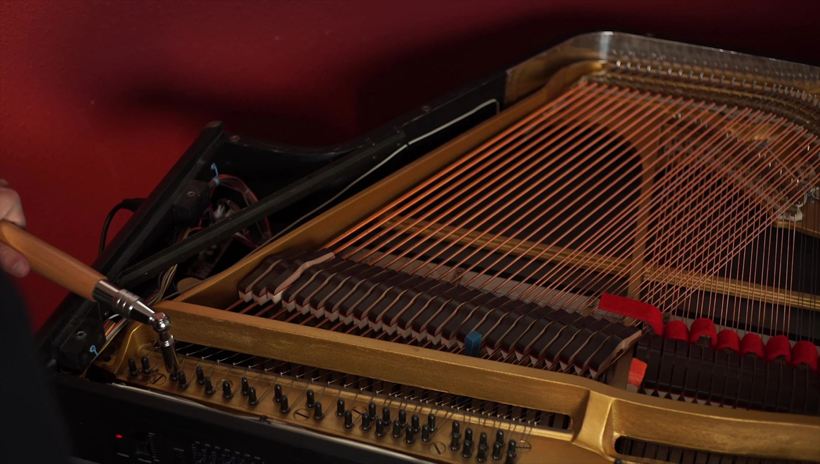 Close-up shot of tuning pegs