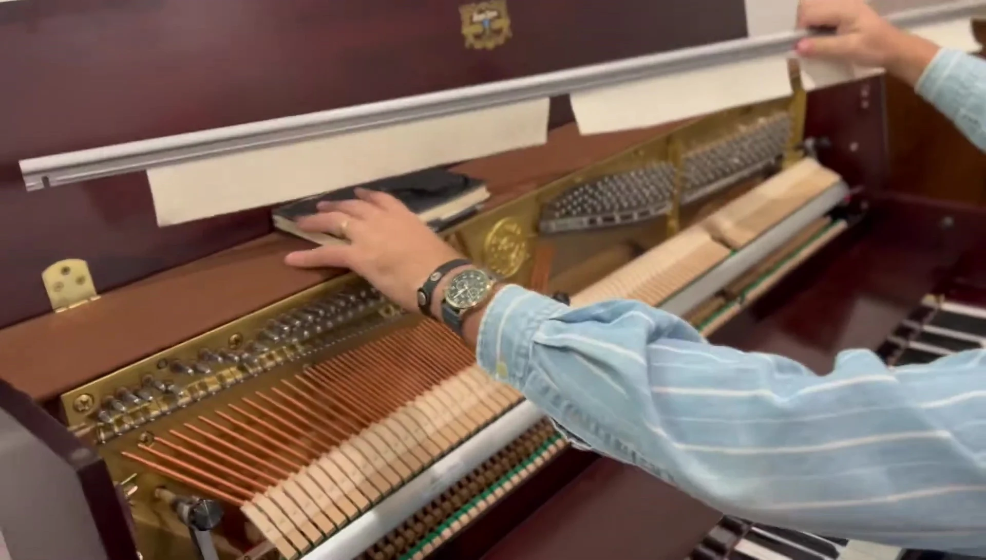 Screenshot during the demonstration of the piano's sound.