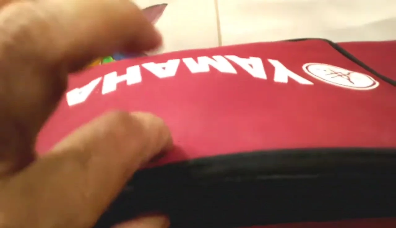 Close-up of the bag's interior lining and padding.