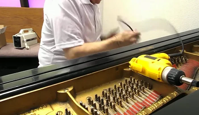 Vacuum up any excess debris from the surrounding area to maintain a clean workspace.