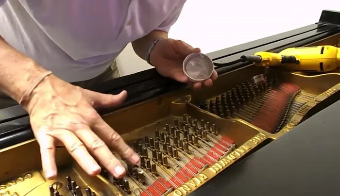 Vacuum up any excess debris from the surrounding area to maintain a clean workspace.