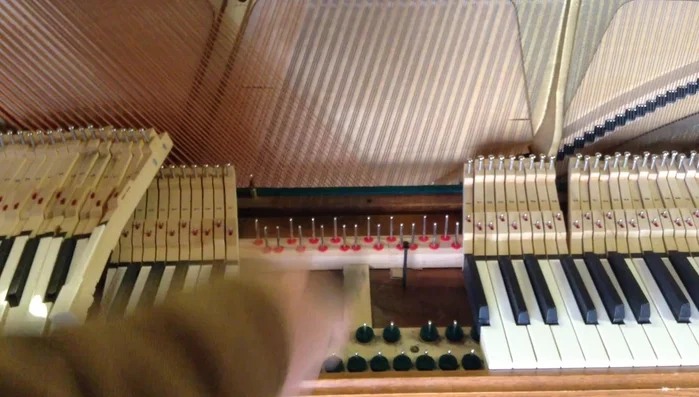 Final blow-out (optional): Use a compressor blower to remove any remaining dust and debris from hard-to-reach areas.