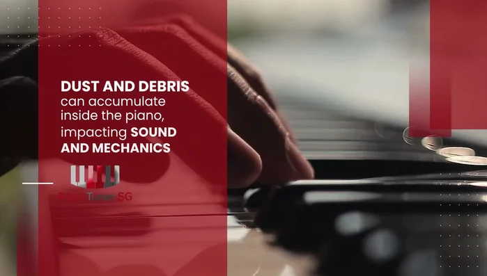 Cleaning: Regularly clean the exterior with a soft, dry cloth. Professional internal cleaning is recommended to avoid damaging delicate components.