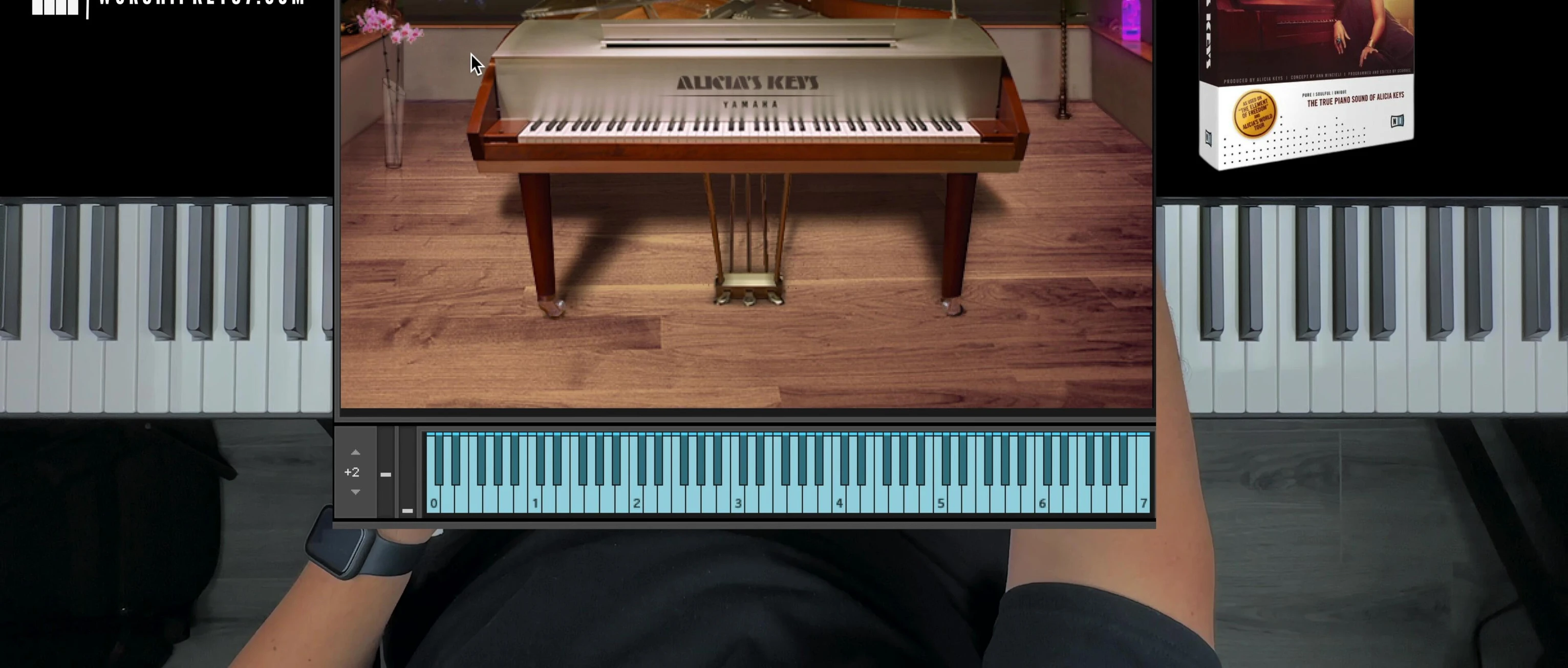 Screenshot displaying the various adjustable parameters available in Alicia's Keys.